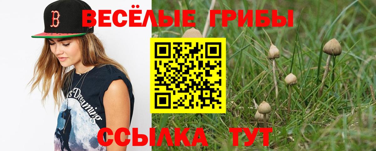 Алушта  Галлюциногенные грибы Magic Shrooms  Вход с VPN 
