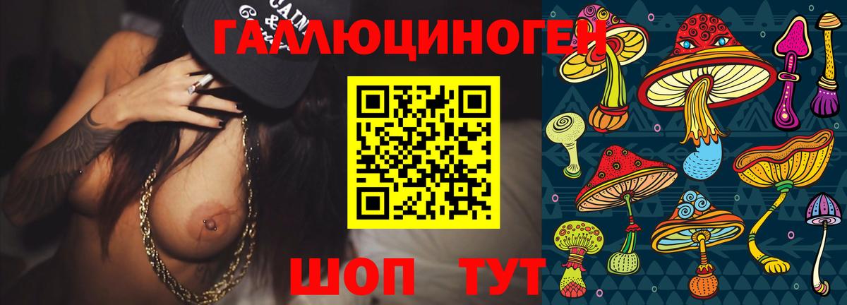 Псилоцибиновые грибы Psilocybine cubensis Алушта